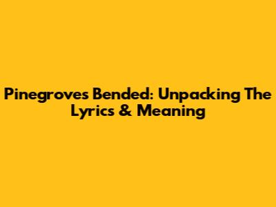 Pinegrove's Bended: Unpacking The Lyrics & Meaning