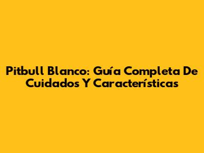Pitbull Blanco: Guía Completa De Cuidados Y Características