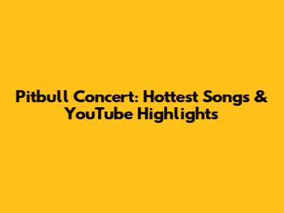 Pitbull Concert: Hottest Songs & YouTube Highlights