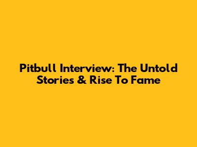 Pitbull Interview: The Untold Stories & Rise To Fame