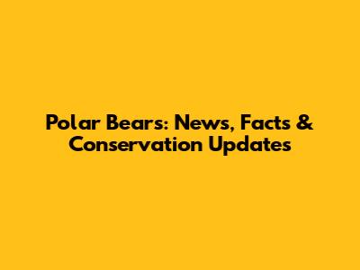 Polar Bears: News, Facts & Conservation Updates