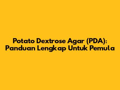Potato Dextrose Agar (PDA): Panduan Lengkap Untuk Pemula
