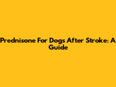 Prednisone For Dogs After Stroke: A Guide