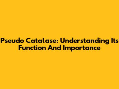 Pseudo Catalase: Understanding Its Function And Importance