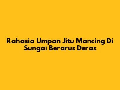 Rahasia Umpan Jitu Mancing Di Sungai Berarus Deras