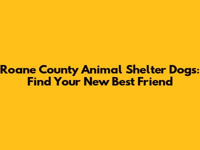 Roane County Animal Shelter Dogs: Find Your New Best Friend