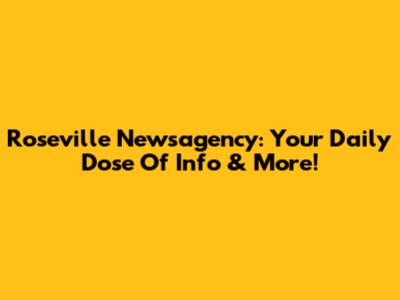Roseville Newsagency: Your Daily Dose Of Info & More!