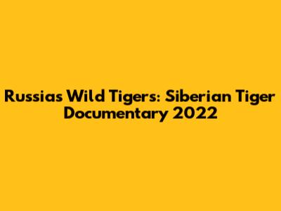 Russia's Wild Tigers: Siberian Tiger Documentary 2022