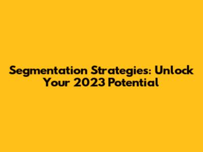 Segmentation Strategies: Unlock Your 2023 Potential