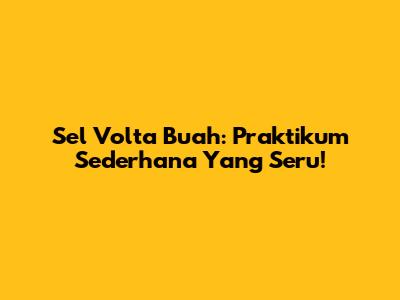 Sel Volta Buah: Praktikum Sederhana Yang Seru!
