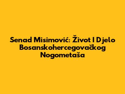 Senad Misimović: Život I Djelo Bosanskohercegovačkog Nogometaša