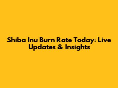 Shiba Inu Burn Rate Today: Live Updates & Insights