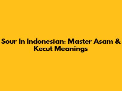 Sour In Indonesian: Master 'Asam' & 'Kecut' Meanings