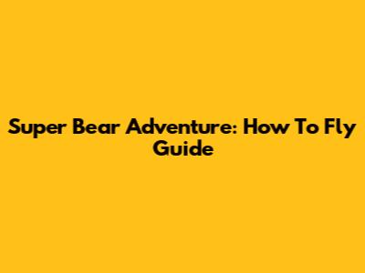 Super Bear Adventure: How To Fly Guide