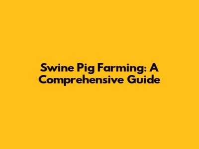 Swine Pig Farming: A Comprehensive Guide