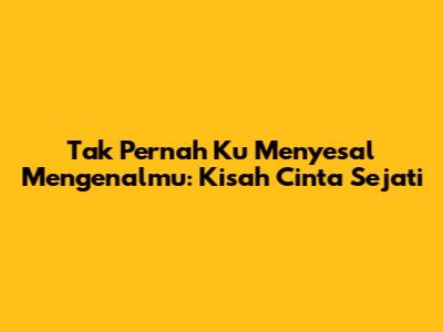Tak Pernah Ku Menyesal Mengenalmu: Kisah Cinta Sejati