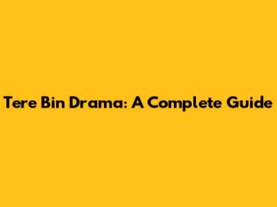 Tere Bin Drama: A Complete Guide