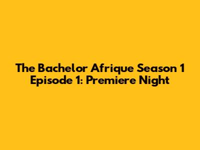 The Bachelor Afrique Season 1 Episode 1: Premiere Night