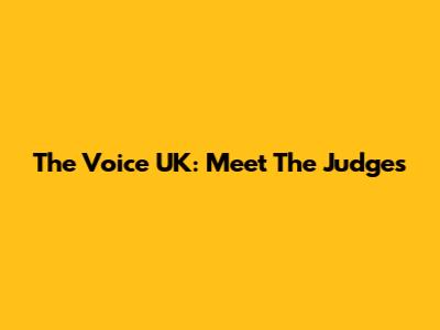 The Voice UK: Meet The Judges