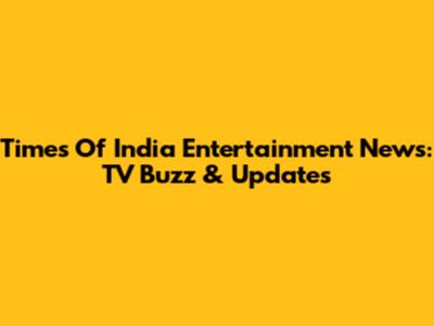 Times Of India Entertainment News: TV Buzz & Updates