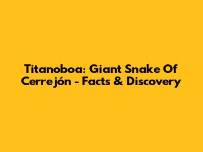 Titanoboa: Giant Snake Of Cerrejón - Facts & Discovery