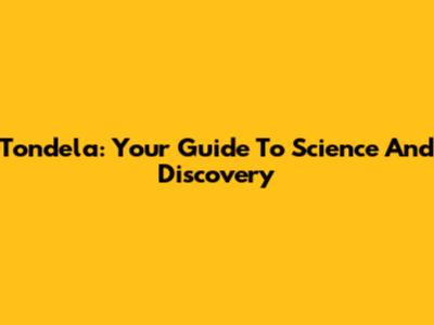 Tondela: Your Guide To Science And Discovery