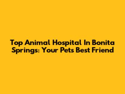 Top Animal Hospital In Bonita Springs: Your Pet's Best Friend