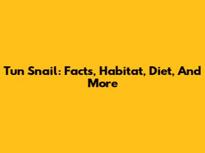 Tun Snail: Facts, Habitat, Diet, And More