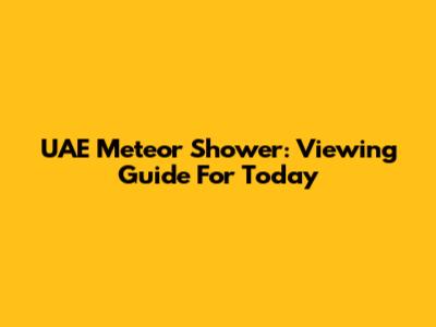 UAE Meteor Shower: Viewing Guide For Today
