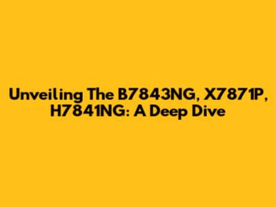 Unveiling The B7843NG, X7871P, H7841NG: A Deep Dive