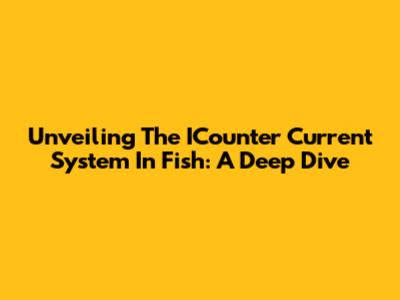 Unveiling The ICounter Current System In Fish: A Deep Dive