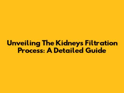 Unveiling The Kidney's Filtration Process: A Detailed Guide