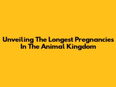 Unveiling The Longest Pregnancies In The Animal Kingdom