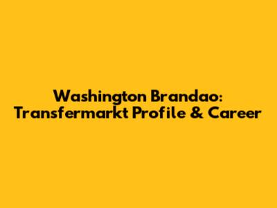 Washington Brandao: Transfermarkt Profile & Career
