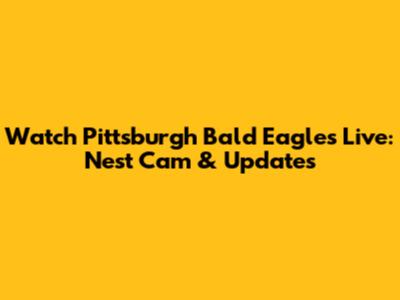 Watch Pittsburgh Bald Eagles Live: Nest Cam & Updates