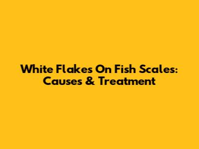 White Flakes On Fish Scales: Causes & Treatment