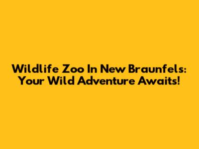 Wildlife Zoo In New Braunfels: Your Wild Adventure Awaits!