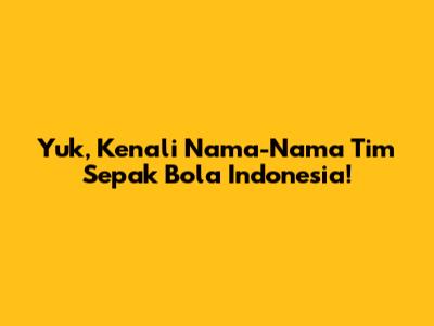 Yuk, Kenali Nama-Nama Tim Sepak Bola Indonesia!
