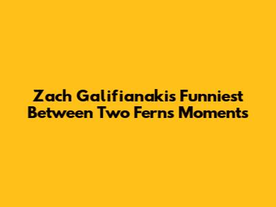 Zach Galifianakis' Funniest 'Between Two Ferns' Moments